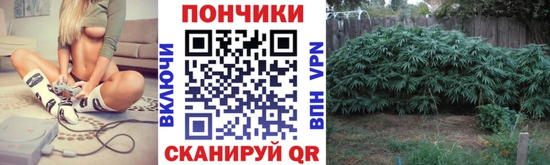 Каннабис SATIVA & INDICA  Удачный 